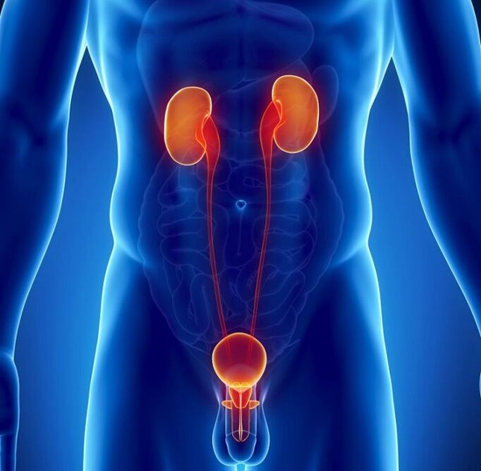 quelles maladies chroniques peuvent affecter la puissance masculine